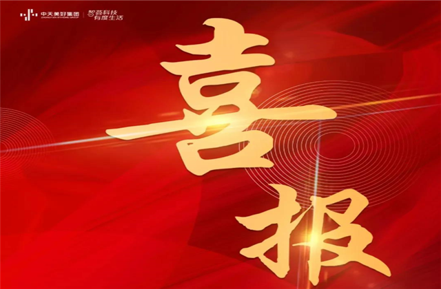 俄罗斯专享会294美好集团蝉联“2021长三角城市群房地产公司品牌价值TOP10”